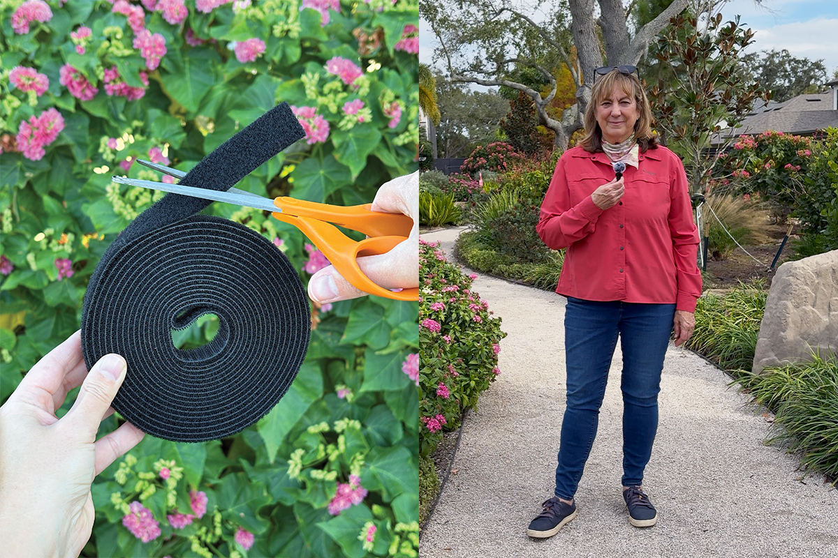 Plant Tie Roll Lasts Through Heat, Rain and Hurricanes