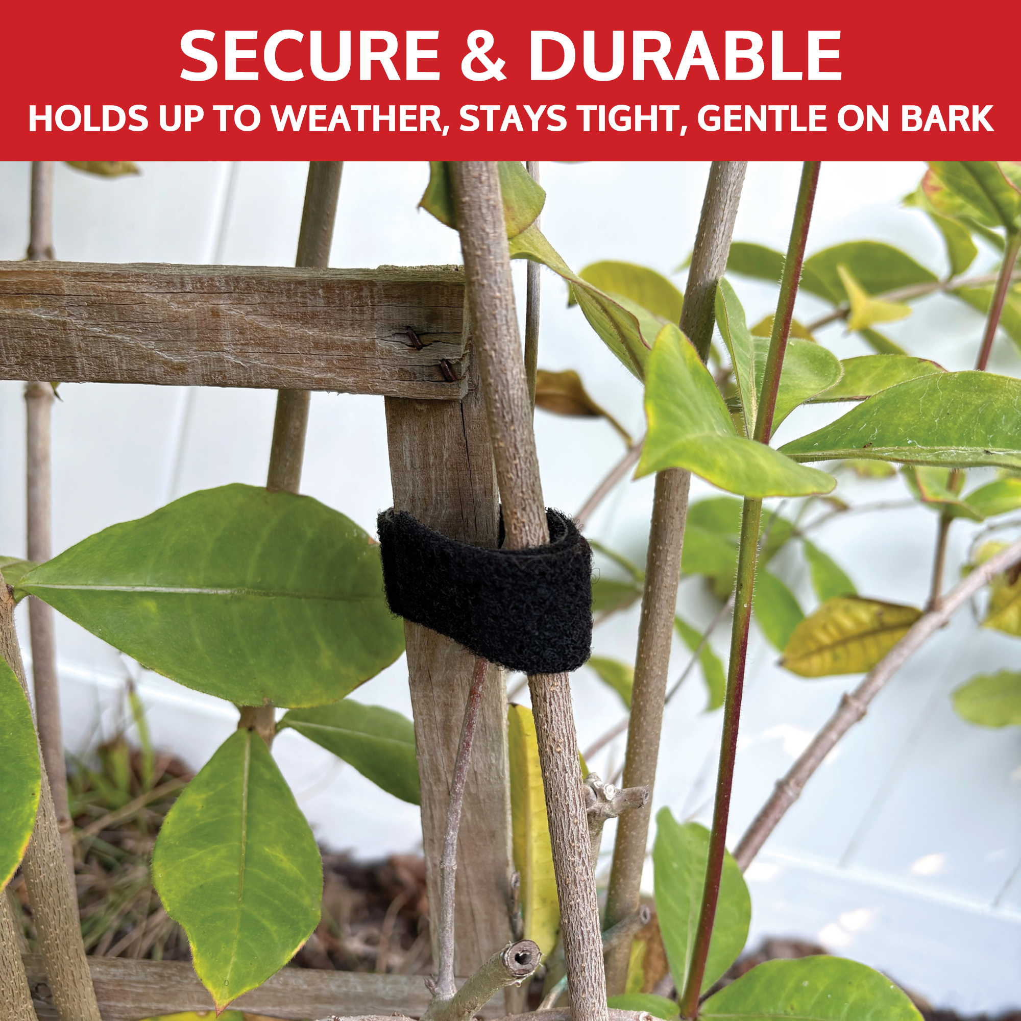 Plant Tie Support Roll